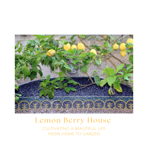 Lemon Berry House