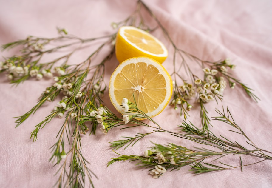 Self Care for a Balanced Life